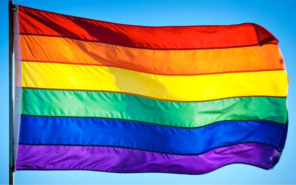 Read more about the article The Origins of the Rainbow Flag